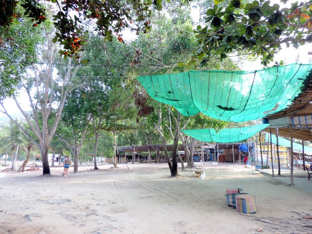 Hải sản bán tại các hàng quán nơi đây rất tươi ngon 