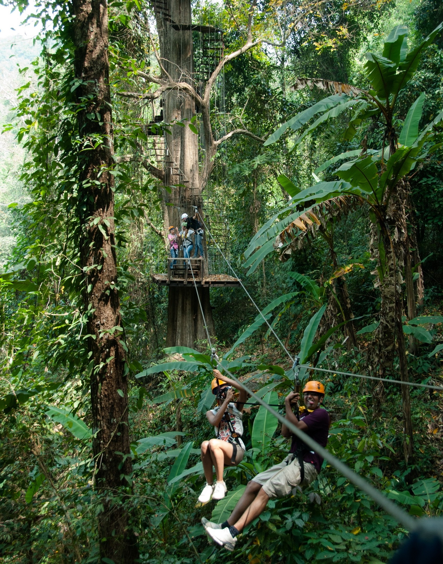 Trượt cáp zipline.