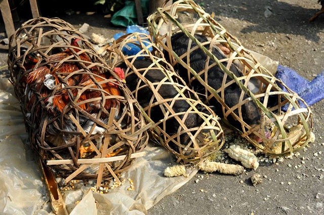 Với nhiều du khách, thật thú vị khi cùng trò chuyện với những người bán hàng nói tiếng Kinh lơ lớ như người... nước ngoài và được nhận những nụ cười thân thiện của họ dù khách có mua hàng hay không. Bởi thế nên dừng chân ở ngôi chợ trong mây này, giữa những người địa phương hiếu khách, trong khung cảnh núi rừng Mộc Châu tươi đẹp, dù Thung Khe quanh năm mát lạnh khách vẫn thấy rất ấm lòng. Và chưa rời gót đã hẹn ngày trở lại. 