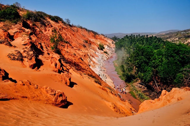 Dao suoi Hong ngam nhu da o Mui Ne hinh anh