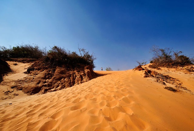 Lúc này dọc theo con suối sẽ có nhiều lối dẫn lên đồi cát. Bạn có thể men theo đó để ngắm nhìn toàn cảnh suối Hồng từ trên cao. Có thể đó là những mái nhà trong hàng dừa xanh bát ngát, những bức tường cát pha loang lỗ hai màu. Thỉnh thoảng có vài đoạn nhũ cát đá (do mưa gió bào mòn) phơi mình đón nắng lấp lánh.