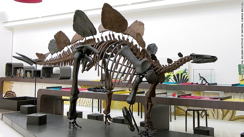 Viện khoa học tự nhiên Hoàng gia Bỉ, Brussel, Bỉ: Tại đây có phòng trưng bày khủng long lớn nhất thế giới, với bộ sưu tập xương hóa thạch đồ sộ và cách trưng bày ấn tượng. Nổi bật tại đây là 30 hóa thạch thằn lằn cá sấu, loài khủng long thứ 2 được tìm thấy từ những năm 1800. Trên lưng chúng là những gai nhọn kỳ lạ, mà các nhà khoa học từng lầm tưởng đó là sừng trên mũi của chúng. Du khách có thể chiêm ngưỡng hóa thạch và khai quật của các mẫu vật thông qua những màn hình tương tác lớn đặt tại đây.