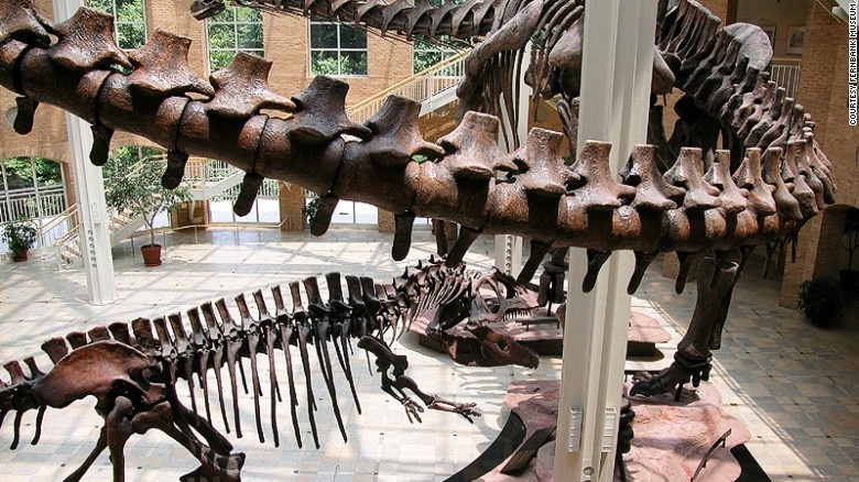 Bảo tàng Lịch sử Tự nhiên Fernbank, Atlanta, Mỹ: Tại đây có trưng bày những bộ xương Argentinosaurus – loài khủng long cổ dài khổng lồ lớn nhất từng được phân loại, có thể nặng tới 100 tấn. Ngoài ra tại đây còn có “gã khổng lồ của triển lãm Mesozoi – loài khủng long ăn thịt Gigantosaurus, được coi là có kích thước tương đương với khủng long bạo chúa T-Rex.
