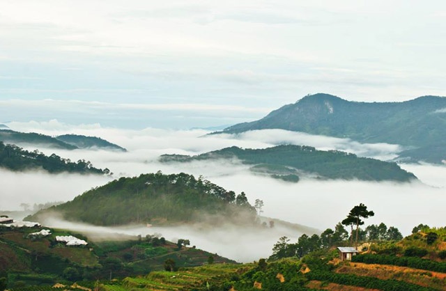 Da Lat mua san may hinh anh