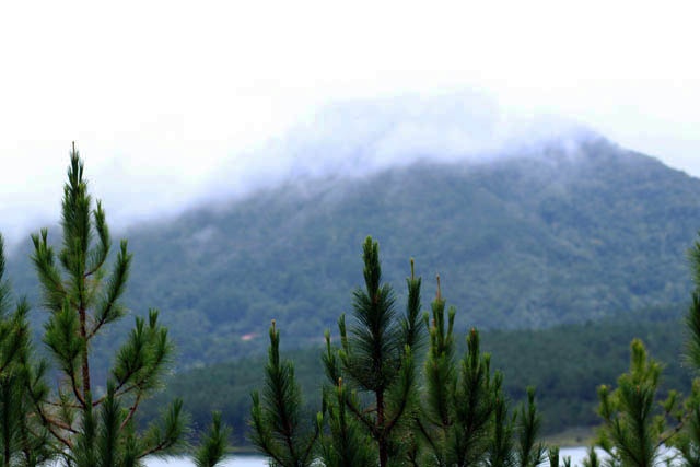 Đơn Dương, mà bây giờ nhiều người thích gọi là Dran, vẫn còn là một vùng ngoại ô với nhiều vườn rau. Nên khi đến đây, bạn còn có thể tham quan nhà vườn trong không khí yên tĩnh trong lành. Hết mùa săn mây, Đơn Dương còn thu hút du khách bởi mùa dã quỳ. Khoảng tháng 10, tháng 11, các đồi hoang nơi đây lại ngập tràn sắc hoa vàng tuyệt đẹp.