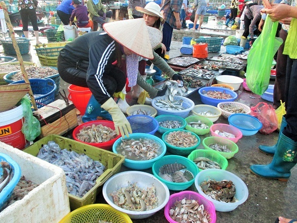 Hoạt động buôn bán trao đổi các loại hải sản đã diễn ra từ tờ mờ sáng. Người bán, người mua tấp nập ngay trên đường vào cảng với nhiều loại tôm, cá, mực, cua, ghẹ,... Không khí này mang đến cho du khách cảm giác vừa lạ vừa quen khi mới đặt chân tới vùng đất biển Vân Đồn.