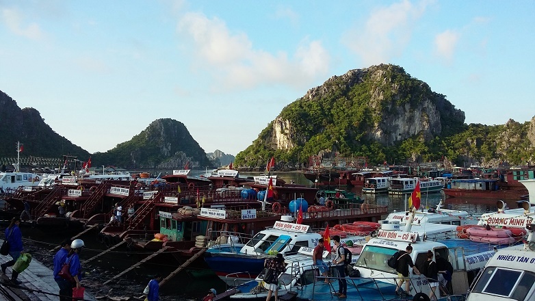 Nhiều tàu, thuyền lớn nhỏ đã túc trực ở cảng chỉ chờ đến giờ khởi hành và có thể mang lại cho khách du lịch những trải nghiệm khó quên trong những giờ phút lênh đênh trên biển. 