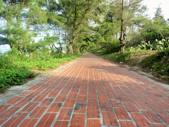 Bạn có thể dành thời gian sải bước trên 