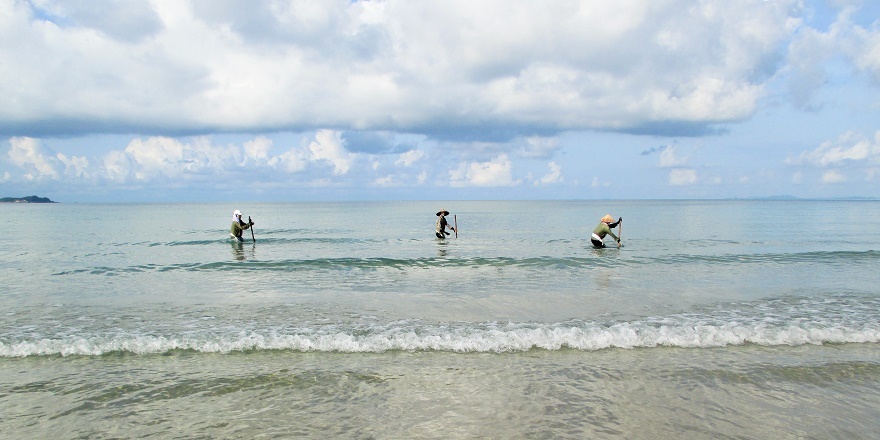 Góp phần không nhỏ tạo nên cảnh đẹp trên biển Cô Tô là những cô bác miệt mài cào ngao từ lúc mặt trời mới ló cho tới khi nắng đã chiếm trọn không gian biển cả. 