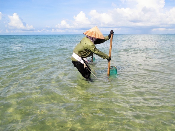 Chỉ cách đây vài năm, cuộc sống ở đảo Cô Tô vẫn còn rất khó khăn khi mà điện lưới quốc gia vẫn chưa được kéo tới vùng này. Giờ đây, điện đã về tới đảo, du lịch cũng được chú trọng phát triển để nâng cao chất lượng của người dân. Nguồn thu nhập chính của mỗi gia đình dựa vào nguồn tài nguyên từ biển, khi mà những người chồng ra khơi thì những người phụ nữ ở nhà vẫn bám biển cào ngao kiếm thêm chút thu nhập cho gia đình.  