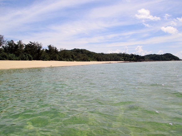 Ngoài những điểm đến hấp dẫn trên, bạn cũng nên dành thời gian thăm thú Đền thờ Bác Hồ, Trạm Hải đăng, Di tích Dốc Khoai hay Làng chài và khu hậu cần nghề cá với những nét đặc trưng nhất về cuộc sống của bà con trên đảo. 