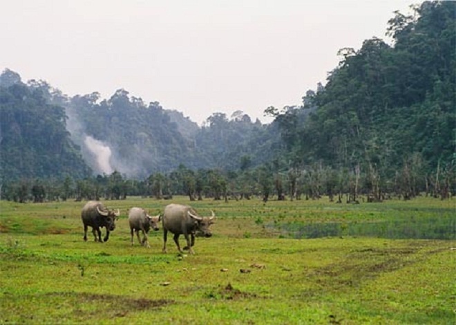  Vẻ đẹp yên bình của cuộc sống người dân xung quanh hồ Noong.
