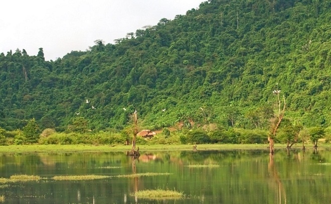 Dừng chân tại đây du khách còn được thưởng thức nền ẩm thực độc đáo của hồ Noong: cá Đắng, gà, vịt, dê, bò, thịt thú rừng và các loại rau tự trồng của người dân địa phương. Hấp dẫn nhất là món cá Đắng nổi tiếng khắp vùng, với nhiều kiểu chế biến như: kẹp vào nướng, món cá rán hoặc nấu canh chua với loại rau quả lá chua, măng chua, dưa chua và khế, điều đặc biệt là khi chế biến cá Đắng thì người ta không mổ. Hứa hẹn là món ngon không thể cưỡng lại khi du lịch đến nơi đây. 