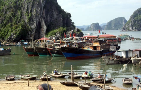 Quang Ninh cam 'chat chem' du khach mac ket do bao hinh anh