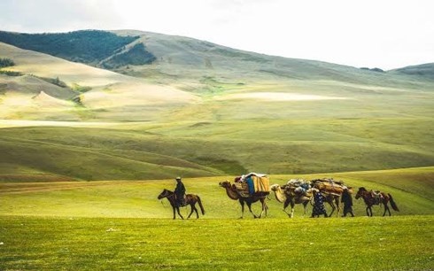 Chu du thao nguyen Mong Co hinh anh