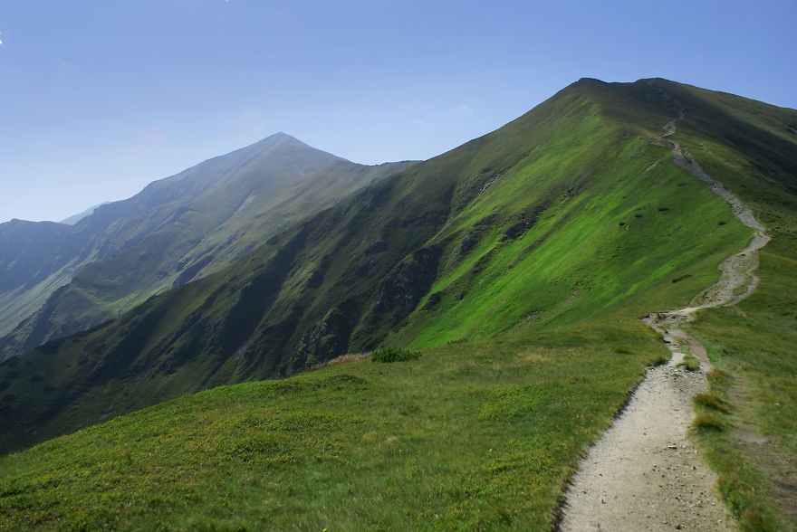 ... của đồng cỏ núi cao.