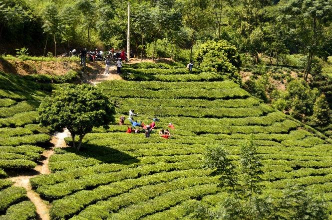 Ve mien xanh Suoi Giang - Sa Pa cua Yen Bai hinh anh