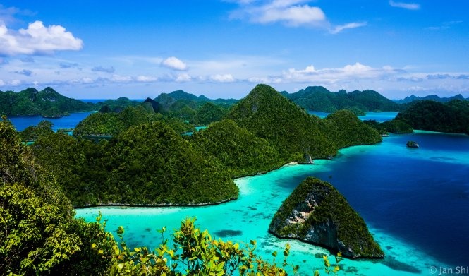 Với người thích lặn biển, Raja Ampat được xem là nơi phải đến trong đời, bởi 70% rạn san hô trên thế giới tập trung tại đây. Du khách còn dễ dàng chiêm ngưỡng cá voi, cá heo, rùa biển hàng loạt loài cá có hình dáng và màu sắc cực kỳ ấn tượng. Ảnh: Wordpress.