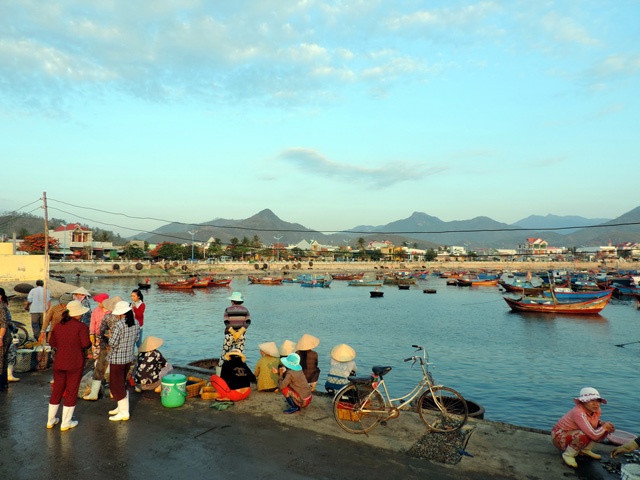 Các loại hải sản đánh bắt về tại Vĩnh Lương thường là cá hố, cá nục gai, sơn thóc, ồ, cá đuối, cá tạp, mực… Một số loại như cá hố, mực sau khi thu mua, nhiều chủ vựa chế biến đã trực tiếp sơ chế ngay tại cảng. Vào mùa cá hố, bình quân mỗi ngày có hàng chục tàu đánh bắt cá hố cập cảng. Mỗi chuyến tàu đi biển kéo dài từ 3 đến 4 ngày, sản lượng đạt khoảng 3 tấn. Tại Vĩnh Lương có những cơ sở chế biến cá hố khô bỏ mối khắp thành phố Nha Trang và các tỉnh.