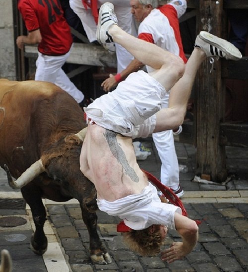 Một người tham gia lễ hội bị hất tung người vì cặp sừng sắc nhọn của bò tót.