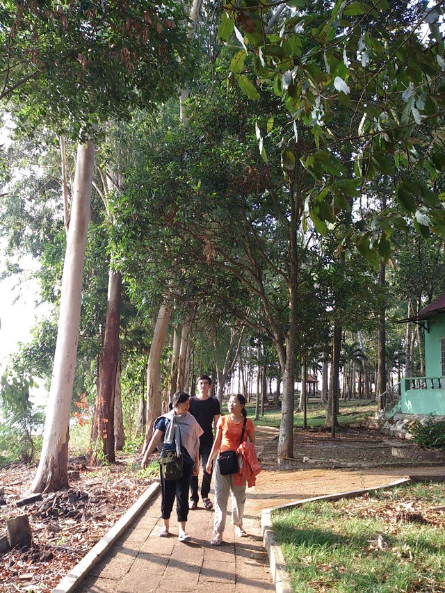 Đi dạo trên đảo Chim Ó.