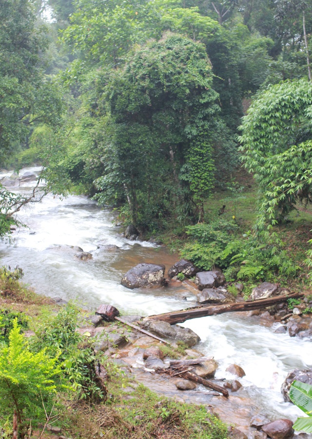 Cách xa hàng trăm mét đã nghe thấy tiếng thác đổ ầm ầm, càng đến gần tiếng thác càng vọng lớn, bao trùm cả không gian núi rừng. Khung cảnh thật hùng vĩ, dòng nước lớn từ trên thượng nguồn đổ về tuôn chảy không ngừng, va vào những tảng đá chắn ngang đường, tung bọt trắng xoá. 