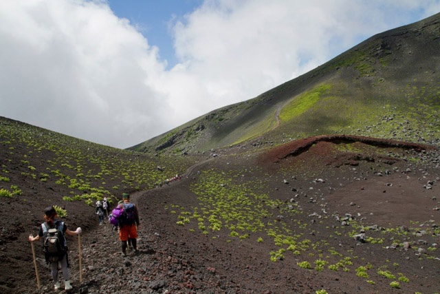 Nên có những bài tập vận động trước, tham khảo các trang web về kinh nghiệm leo núi Phú Sĩ (có rất nhiều thứ tiếng).