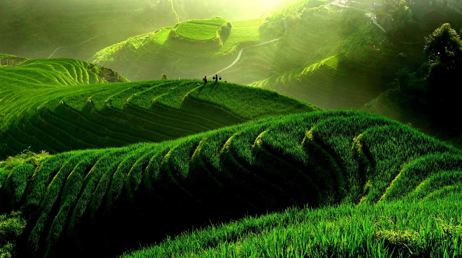 11. Ruộng bậc thang Long Tích: Được xưng tụng là “quán quân ruộng bậc thang thế giới”, Long Tích đem đến cho du khách hình ảnh kỳ thú bảy ruộng nhỏ vây quanh một ruộng lớn như những ngôi sao nằm quanh mặt trăng tạo thành tên gọi “thất tinh bán nguyệt”.  Quilin7.com