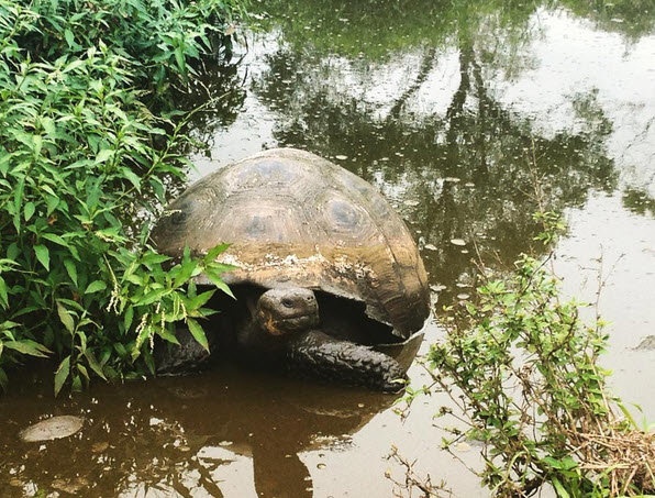 Biển nơi đây cũng rất đẹp, được xem là 