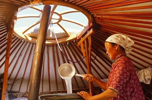 Uống rượu arkhi  Rượu arkhi (hay còn gọi là Vodka Shimiin Arkhi) là loại rượu được làm từ sữa bò Tây Tạng lên men, có vị chua và độ cồn khá 