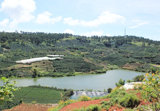 Mot ngay kham pha ngoai o Da Lat hinh anh