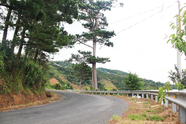 Chinh phục đèo D’ran: Rời đồi chè Cầu Đất, bạn tiếp tục theo hướng QL20. Đèo D’ran chỉ dài 10km nhưng là thử thách đối với những tay lái lụa. Đoạn đường đèo vắng vẻ, bạt ngàn rừng thông, những khúc cua tay áo bất ngờ khiến bạn phải giật thót tim nhưng sau đó lại trầm trồ trước khung cảnh thiên nhiên tuyệt đẹp của núi rừng. Thời tiết trên đèo khá 