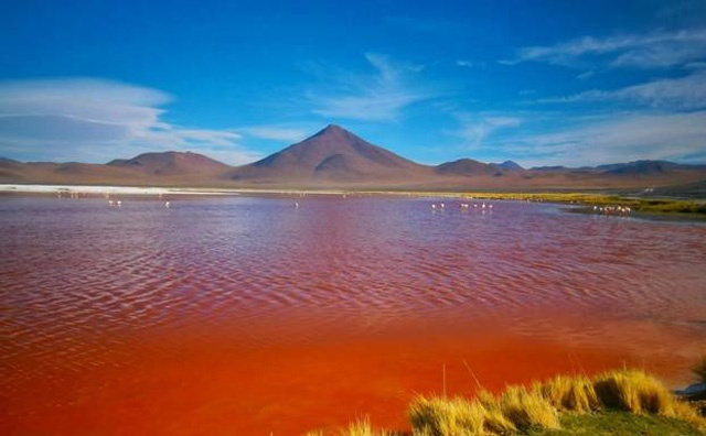 Hồ muối đỏ Laguna Colorada, Bolivia: Laguna Colorada là một hồ muối cạn tọa lạc ở phía tây nam cao nguyên của Bolivia, sát với biên giới Chile. Trong hồ chứa những đảo muối borac trắng xóa, đá trầm tích và một số loài tảo màu đỏ tạo nên vẻ đẹp kỳ lạ. Đây cũng là nơi tập trung rất nhiều giống chim hồng hạc quý hiếm.