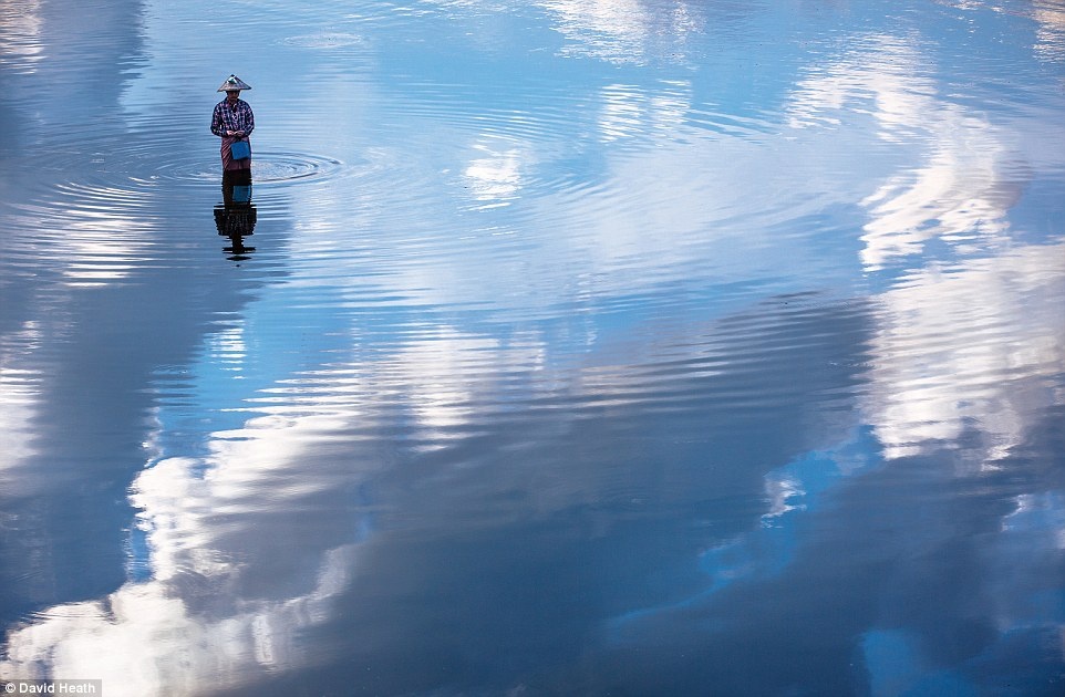 Vượt qua cây cầu gỗ nổi tiếng ở Mandalay, David đã có cơ hội chụp được bức ảnh về người phụ nữ đánh cá trên hồ Taung Tha Man.