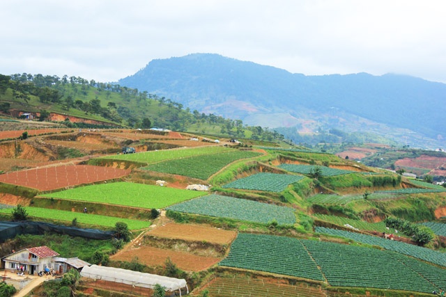 Những địa điểm vừa quen vừa lạ như vườn dâu Thánh Mẫu, làng hoa Vạn Thành, Thung lũng Vàng và Langbiang có thể kết hợp thành chuyến tham quan trong ngày. Lên đường với một chiếc xe máy và chiếc máy ảnh, bạn sẽ được thỏa thích chiêm ngưỡng khung cảnh vườn, hồ, núi, mây, gió và sương của cao nguyên.