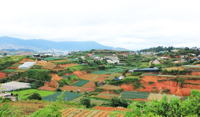 Rừng thông bạt ngàn, chiếc cầu gỗ bắc ngang hồ nước thơ mộng, những thảm hoa phủ đầy lối đi, cỏ xanh mướt dưới chân, tiếng nước suối chảy róc rách. Thung lũng Vàng khiến bạn choáng ngợp trong khung cảnh thiên nhiên hài hòa của cây cỏ, hoa lá, non nước và mây trời. Càng đi sâu vào thung lũng, bạn càng ngạc nhiên trước những tiểu cảnh được sắp đặt bởi bàn tay con người bên cạnh vẻ đẹp tự nhiên của thiên nhiên.