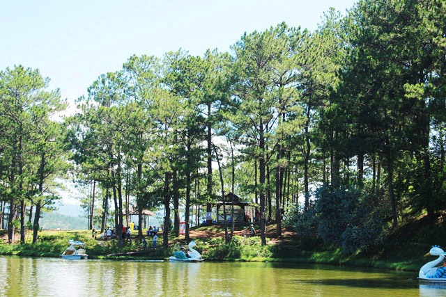 Thuong ngoan phong canh nui rung cao nguyen hinh anh