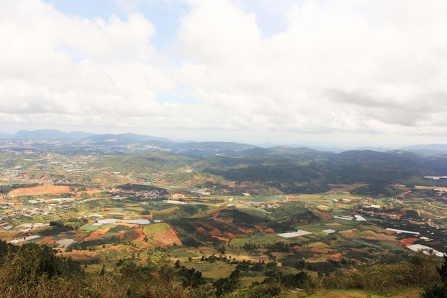 Hái dâu hay ngắm hoa buổi sớm  Những vườn dâu trên đường Phù Đổng Thiên Vương (phường 8) chuyên phục vụ khách du lịch, bạn có thể vào tham quan, tự tay hái dâu hoặc mua dâu tại vườn về làm quà. Còn nếu muốn ghé vào vườn dâu của nhà dân, bạn chạy lên đường Thánh Mẫu (phường 7) gần đó, xin phép người dân vào tham quan và cẩn thận tránh làm hư hỏng dâu của họ. Đến thăm vườn dâu lúc sáng sớm, bạn sẽ thích thú trước khung cảnh người làm vườn nhộn nhịp thu hoạch, tay thoăn thoắt ngắt từng trái dâu căng mọng. Những trái dâu tươi đỏ au, nép mình dưới tán lá khiến bạn thích mê và chỉ muốn đưa tay ngắt một trái, cho vào miệng cắn, để vị chua ngọt của dâu thấm vào đầu lưỡi. Ngoài vườn dâu, chạy xe qua những con dốc ngoằn ngoèo, bạn sẽ được ngắm nhìn một màu xanh mát trải dài tít tắp của những luống bắp cải, luống hành tây, cà rốt.