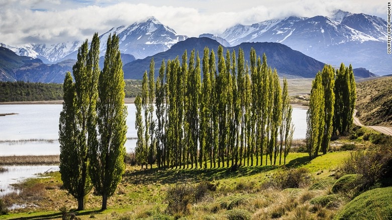 Công viên Patagonia (Chile): Được quy hoạch trong hơn một thập niên, công viên Patagonia gần đây mới được mở cửa rộng rãi cho công chúng. Khu dự trữ rộng tới 264.000 ha đang trên đường trở thành Công viên Quốc gia lớn nhất của thế kỷ 21, nơi có quần thể đang hồi sinh của loài báo sư tử, kền kền, và huowu huemul đang có nguy cơ tuyệt chủng.
