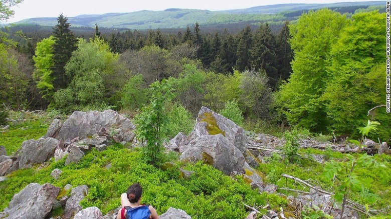 Công viên Quốc gia Hynsruck-Hochwald (Đức): Vườn Quốc gia Hynsruck-Hochwald là khu bảo tồn thiên nhiên mới nhất của Châu Âu, là nơi cư trú của loài cò đen và một quần thể mèo rừng hoang dã lớn nhất Châu Âu. Du khách tới đây có thể đi dạo tại một trong rất nhiều tuyến đường trong công viên để chiêm ngưỡng hệ động thực vật.