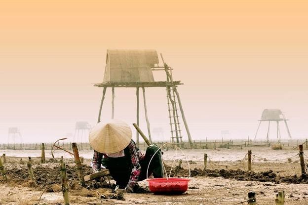 Ở đây, do nước biển không được đẹp nên hầu hết người dân ở đây chuyển sang đánh bắt thủy, hải sản, đặc biệt là ngao làm kinh tế.  Và điểm thu hút dân du lịch hàng trăm chòi canh Ngao trên đồng Vạng (Đồng Ngao ở Đồng Châu còn được gọi là đồng Vạng).