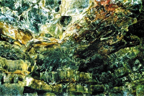 Thạch nhũ trên thành hang C7 đẹp như một bức tranh.