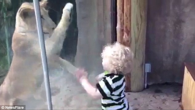 Chính vì điều đó xu hướng xây dựng hiện nay của hầu hết các vườn thú cho phép trẻ em có thể tiếp xúc rất gần với các con vật.