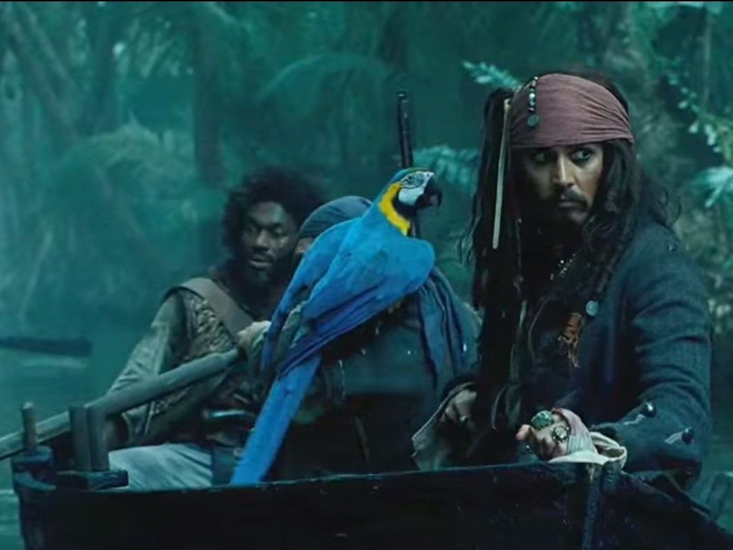 Những cướp biển vùng Caribbean: Bất kỳ phần nào trong 5 phần của loạt phim “Pirates of the Caribbean” đều rất lý tưởng cho những người thích phiêu lưu mạo hiểm trong những thiên đường hoang dã miền nhiệt đới. Những cướp biển lập dị - ngôi sao của bộ phim đã đưa người xem chiêm ngưỡng các cảnh quay tại Cộng hòa Dominican, St. Vincent, Grenadines, và California.