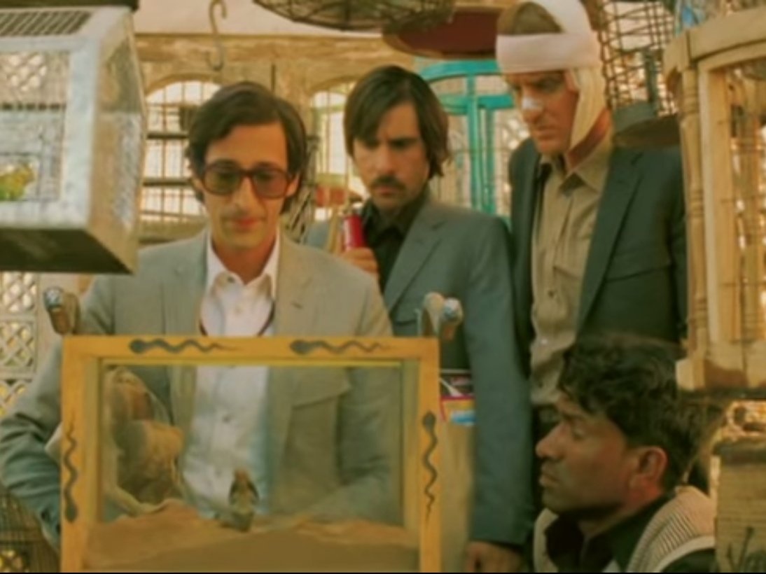 Đường đến tâm linh (The Darjeeling Limited): Ba anh em trai trong phim đã quyết định đi một chuyến tàu tới Ấn Độ với hy vọng kết nối tình cảm lại với nhau sau khi cha mất. Rất nhiều điều thú vị đã xảy ra trong chuyến đi, qua nhiều địa danh như Osian, Udaipur và Jodhpor đều là những thành phố ở Ấn Độ.
