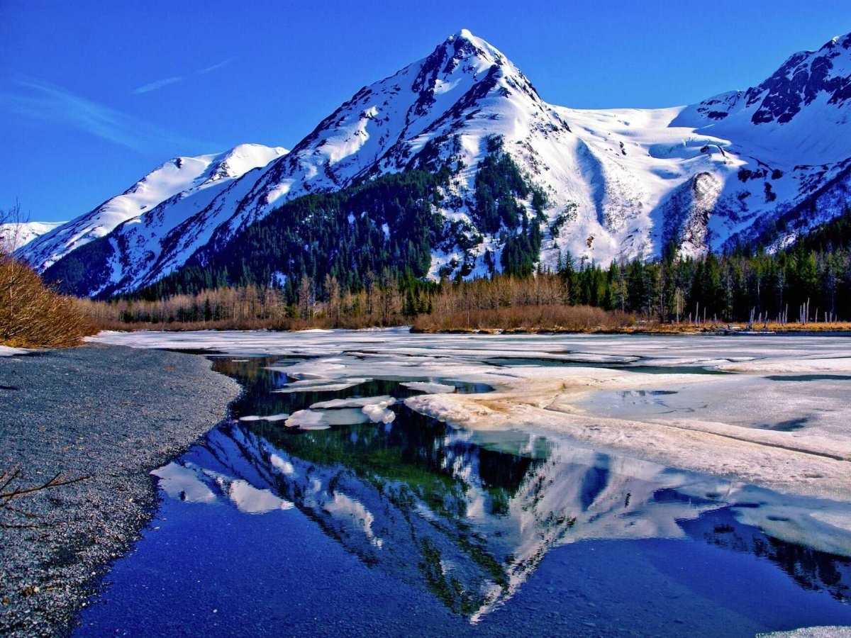 Miền hoang dã: “Into the Wild” là câu chuyện có thật của một học sinh ưu tú và là một vận động viên, người đã từ bỏ tất cả mọi thứ sau khi tốt nghiệp đại học để quá giang xe đến Alaska và sinh tồn tại đó. Bộ phim được quay trên khắp nước Mỹ, từ Alaska, California, Oregon, Washington, Georgia, Arizona, Nevada, và South Dakota.