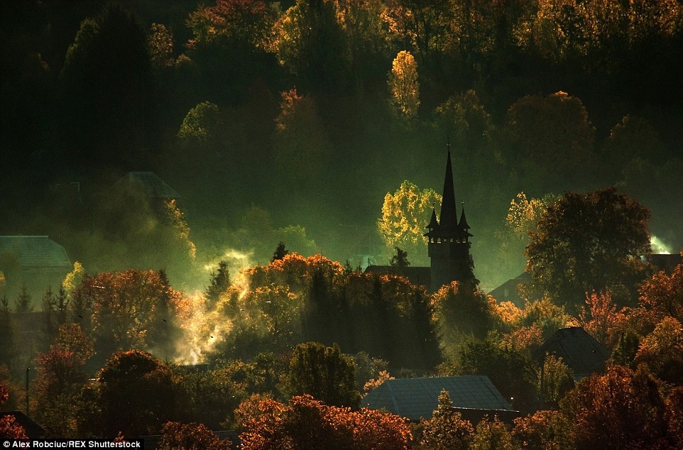 Những hình bóng của một nhà thờ, nhìn xa trông giống như sương khói tỏa ra như trong câu chuyện về ma cà rồng, được khắc họa rõ nét bên trong khu rừng.