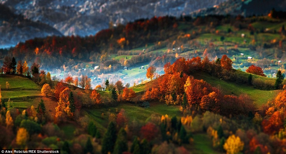 Những cây màu sắt rỉ hiện ra trong sương mù, bên thảm cỏ xanh và những ngọn đồi của Romania.