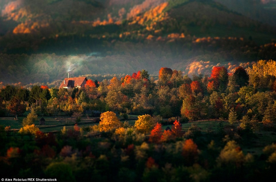 Vào mùa thu, cây cối rực rỡ sắc màu, từ màu đỏ, cam đến màu vàng, làm cho Transylvania trở thành một trong những vùng tốt nhất của Trung Âu để ngắm lá rơi.