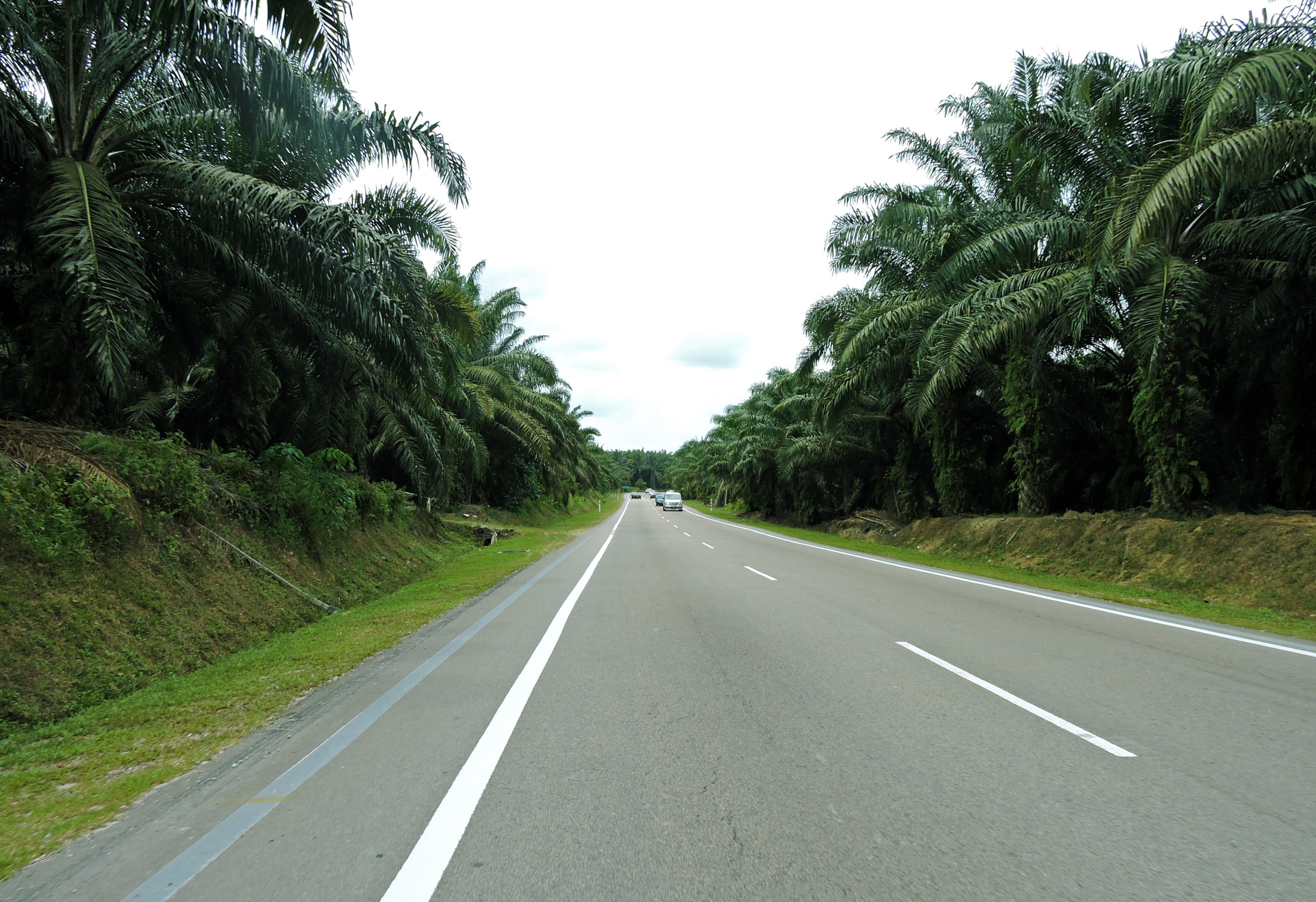 Từ trung tâm thành phố Johor Bahru, đoàn gồm 2 thành viên với 2 chiếc xe máy từ Việt Nam đi theo trục đường từ Skudai về Pontain, rồi đi tiếp về Kukup, xuyên qua những cánh rừng cọ đặc trưng của đất nước Malaysia xinh đẹp.